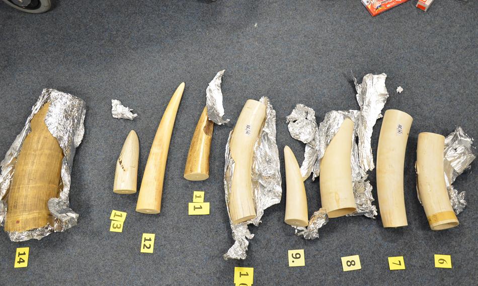 2016-6-28-817foto 6.jpg